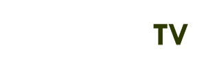 câu đố